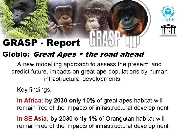 GRASP - Report Globio: Great Apes - the road ahead A new modelling approach
