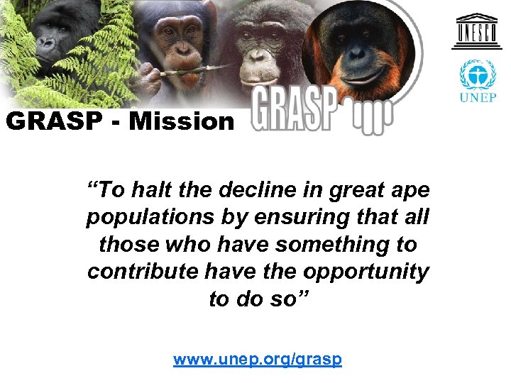 GRASP - Mission “To halt the decline in great ape populations by ensuring that