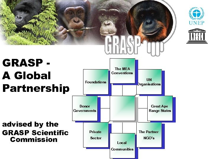 GRASP A Global Partnership The MEA Conventions UN Organisations Foundations Donor Governments advised by
