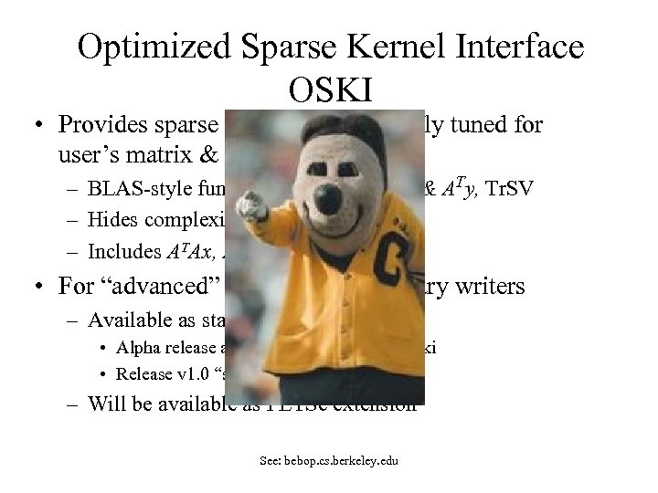 Optimized Sparse Kernel Interface OSKI • Provides sparse kernels automatically tuned for user’s matrix