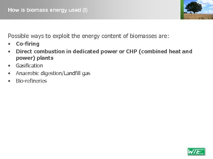 How is biomass energy used (I) Possible ways to exploit the energy content of