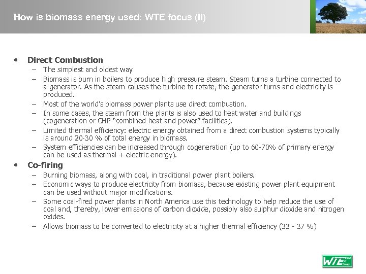How is biomass energy used: WTE focus (II) • Direct Combustion – – –