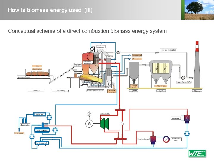 How is biomass energy used (III) Conceptual scheme of a direct combustion biomass energy