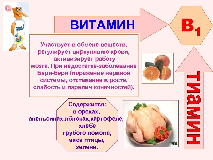 ВИТАМИН Участвует в обмене веществ, регулирует циркуляцию крови, активизирует работу мозга. При недостатке-заболевание Бери-бери