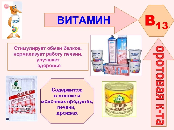 ВИТАМИН Стимулирует обмен белков, нормализует работу печени, улучшает здоровье Содержится: в молоке и молочных