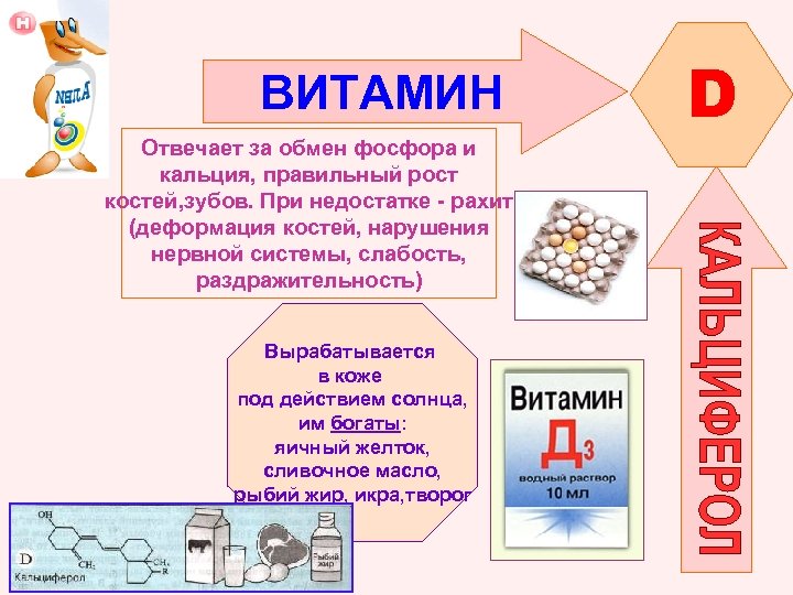 ВИТАМИН Отвечает за обмен фосфора и кальция, правильный рост костей, зубов. При недостатке -