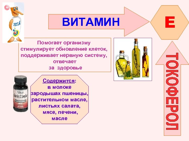 ВИТАМИН Помогает организму стимулирует обновление клеток, поддерживает нервную систему, отвечает за здоровье Содержится: в