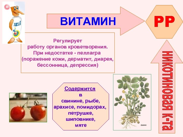 ВИТАМИН Регулирует работу органов кроветворения. При недостатке - пеллагра (поражение кожи, дерматит, диарея, бессонница,