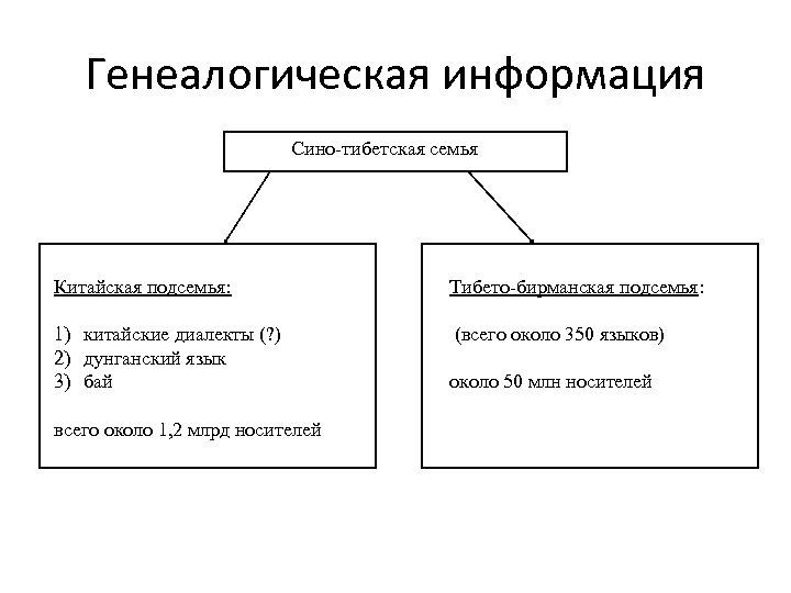 Сино тибетская семья