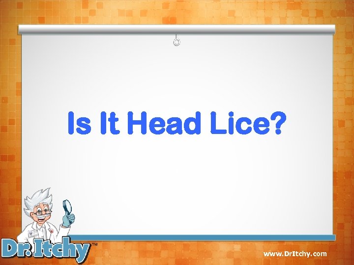 Is It Head Lice? www. Dr. Itchy. com 