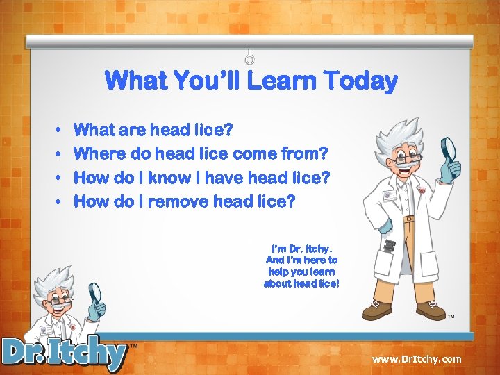 What You’ll Learn Today • • What are head lice? Where do head lice