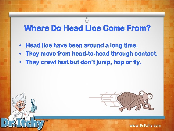 Where Do Head Lice Come From? • Head lice have been around a long