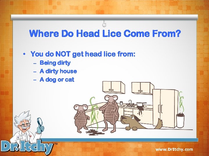Where Do Head Lice Come From? • You do NOT get head lice from: