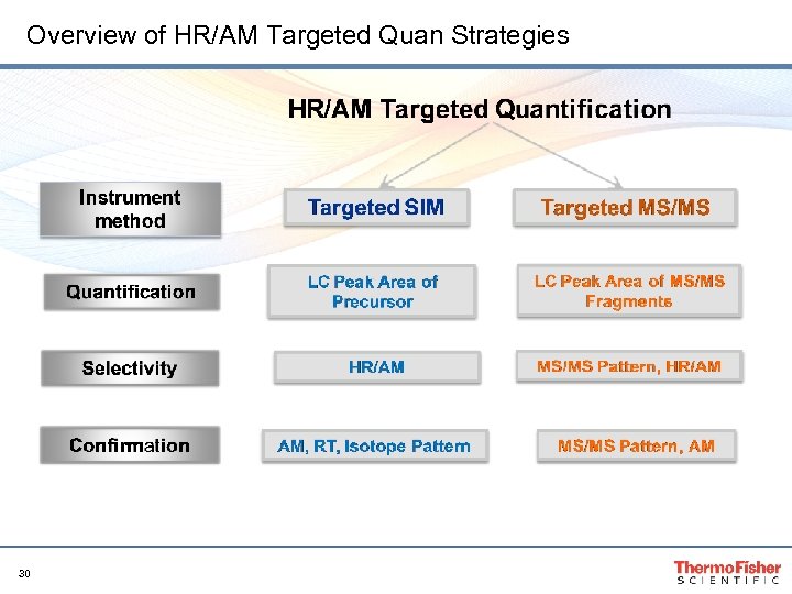 Overview of HR/AM Targeted Quan Strategies 30 