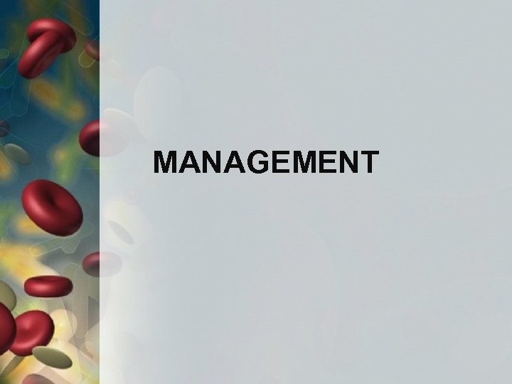 MANAGEMENT 