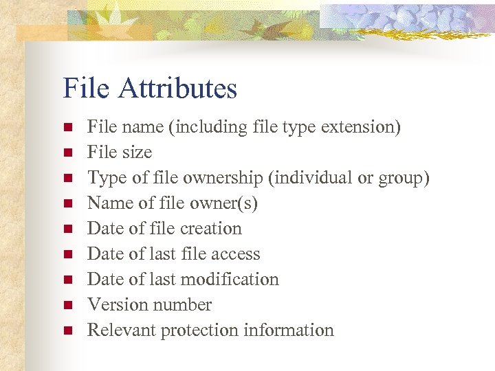 File Attributes n n n n n File name (including file type extension) File