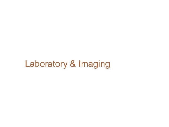 Laboratory & Imaging 