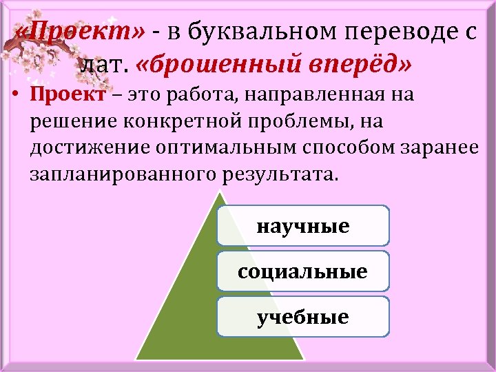 Проект в буквальном переводе