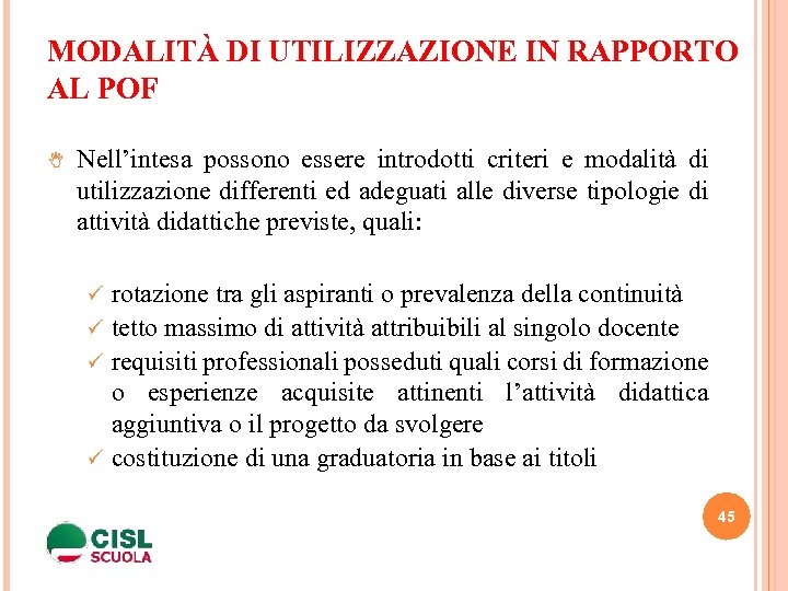  MODALITÀ DI UTILIZZAZIONE IN RAPPORTO AL POF Nell’intesa possono essere introdotti criteri e