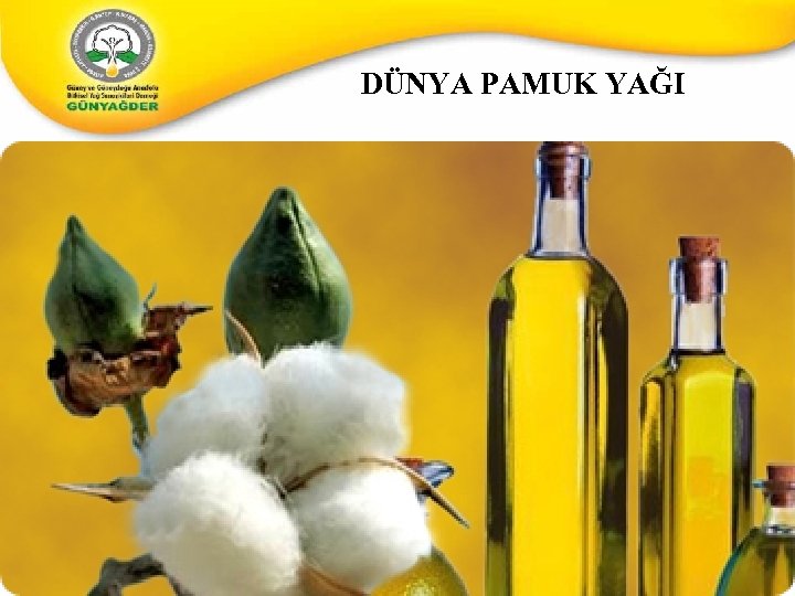 DÜNYA PAMUK YAĞI 12 