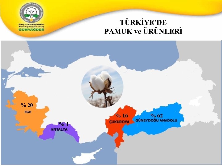 TÜRKİYE’DE PAMUK ve ÜRÜNLERİ % 20 % 16 %1 % 62 