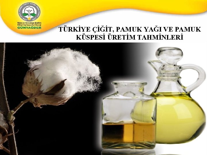 TÜRKİYE ÇİĞİT, PAMUK YAĞI VE PAMUK KÜSPESİ ÜRETİM TAHMİNLERİ 23 23 