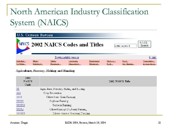 North American Industry Classification System (NAICS) Asuman Dogac RIDE 2004, Boston, March 28, 2004