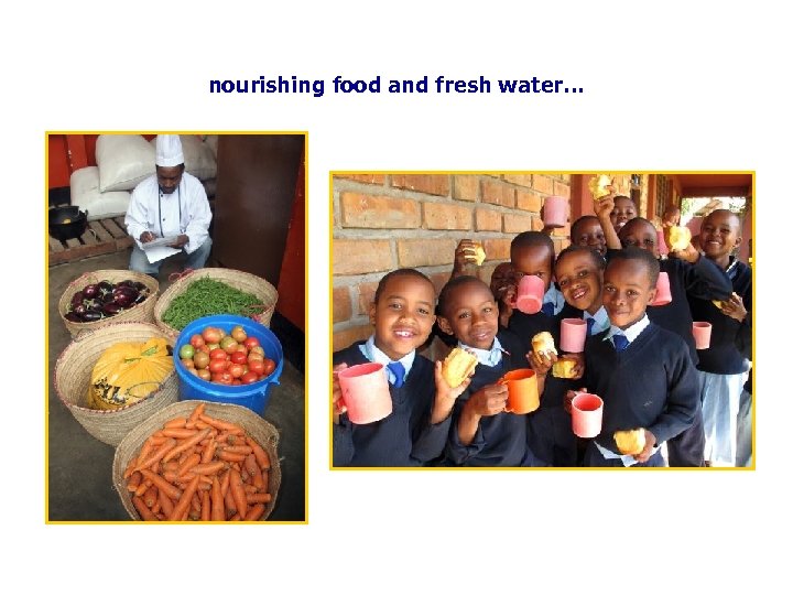 nourishing food and fresh water… 