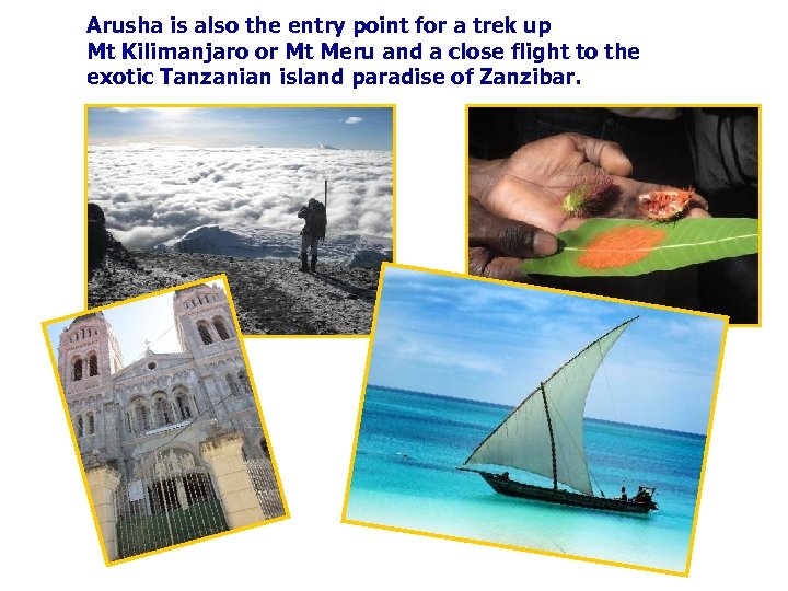 Arusha is also the entry point for a trek up Mt Kilimanjaro or Mt