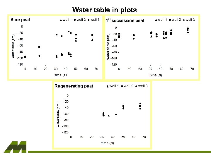 Water table in plots 