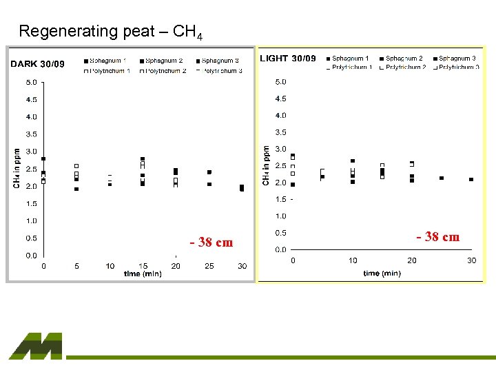 Regenerating peat – CH 4 - 38 cm 