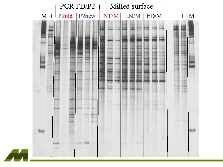PCR FD/P 2 M + P 2 old P 2 new Milled surface NT/M