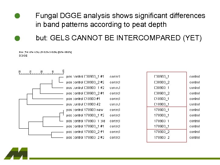 Fungal DGGE analysis shows significant differences in band patterns according to peat depth but: