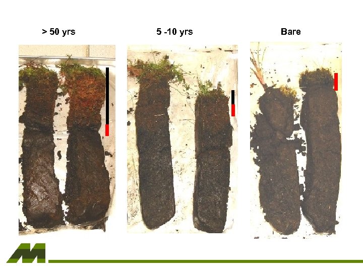 > 50 yrs 5 -10 yrs Bare 