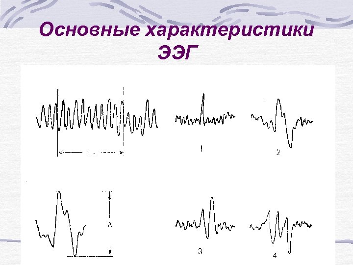 Основные характеристики ЭЭГ 