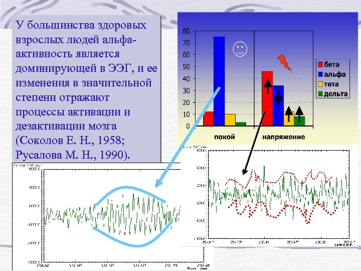 У большинства здоровых взрослых людей альфаактивность является доминирующей в ЭЭГ, и ее изменения в