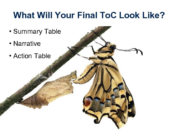 What Will Your Final To. C Look Like? • Summary Table • Narrative •