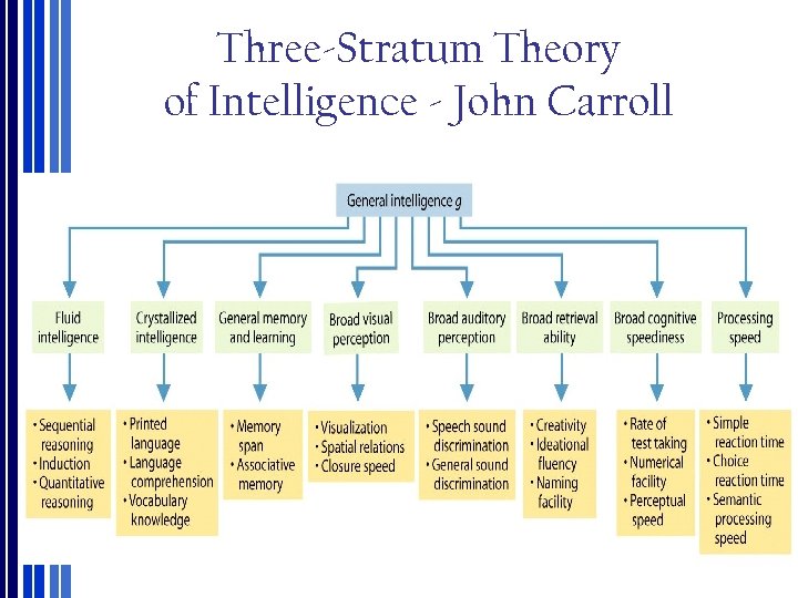 What Is Intelligence Chapter 8 Intelligence And Individual