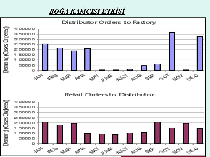BOĞA KAMÇISI ETKİSİ 