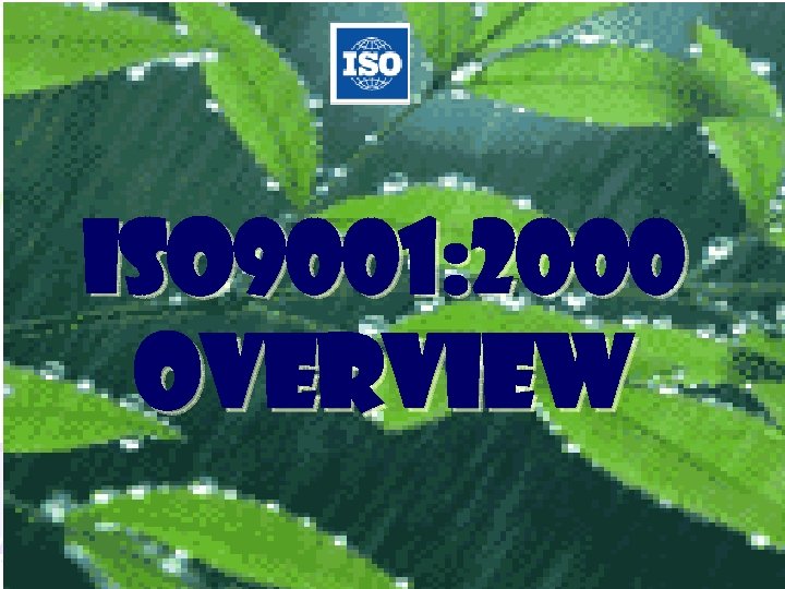 ISO 9001: 2000 Overview 