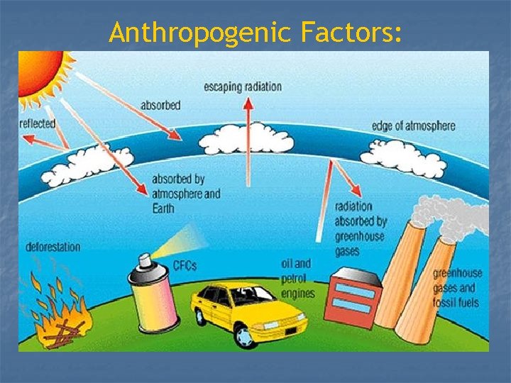 Anthropogenic Factors: 