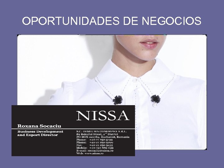 OPORTUNIDADES DE NEGOCIOS 