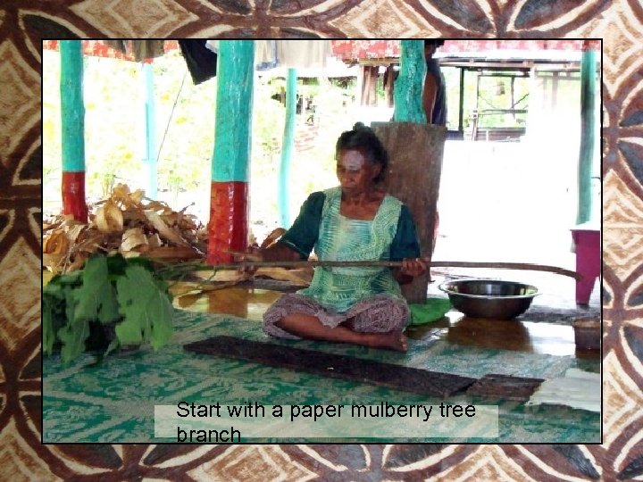 Start with a paper mulberry tree branch 