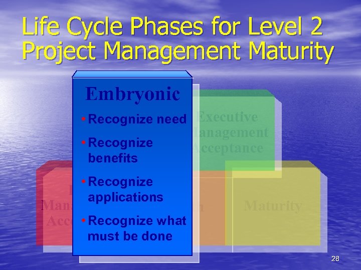 Life Cycle Phases for Level 2 Project Management Maturity Embryonic • Recognize need Executive