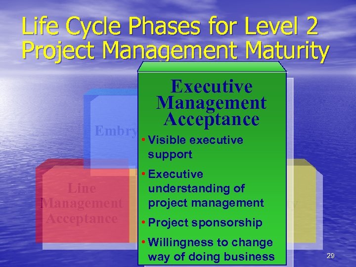 Life Cycle Phases for Level 2 Project Management Maturity Executive Management Executive Acceptance Embryonic