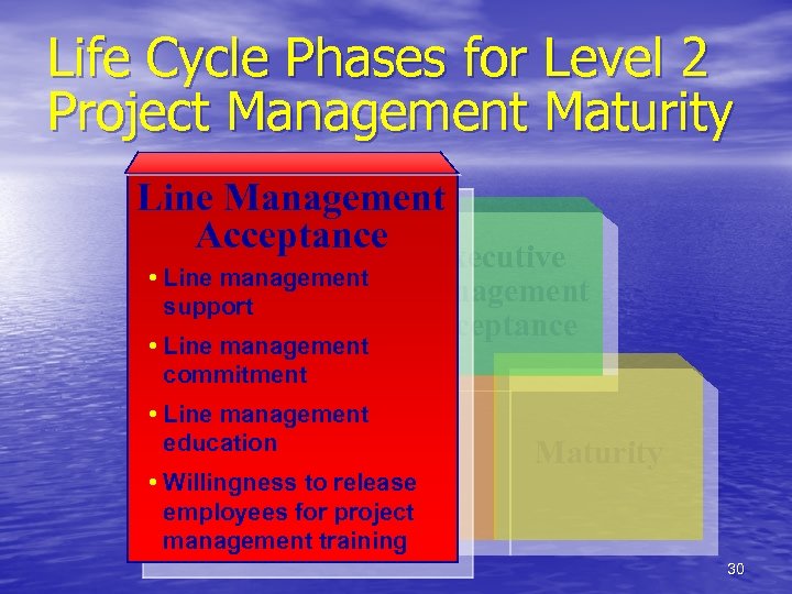 Life Cycle Phases for Level 2 Project Management Maturity Line Management Acceptance • Line