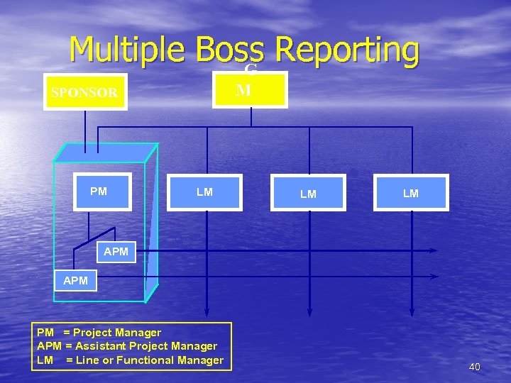 Multiple Boss Reporting G M SPONSOR PM LM LM LM APM PM = Project