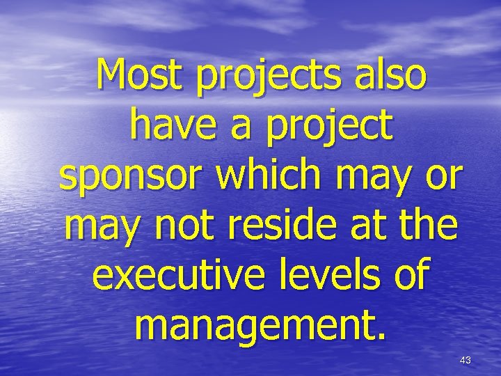 Most projects also have a project sponsor which may or may not reside at
