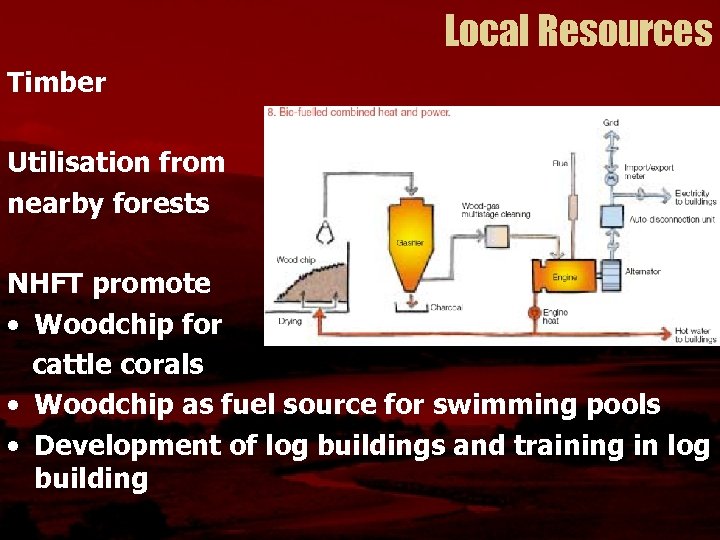 Local Resources Timber Utilisation from nearby forests NHFT promote • Woodchip for cattle corals