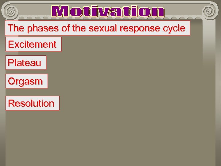 The phases of the sexual response cycle Excitement Plateau Orgasm Resolution 